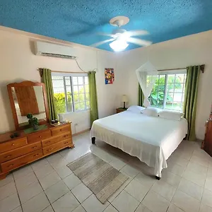 Green's Palace Jamaica Guest house